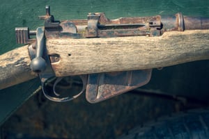 Unauthorised Firearm Possession