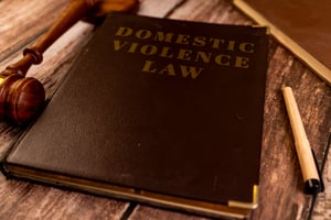 Reasons to Oppose an AVO NSW